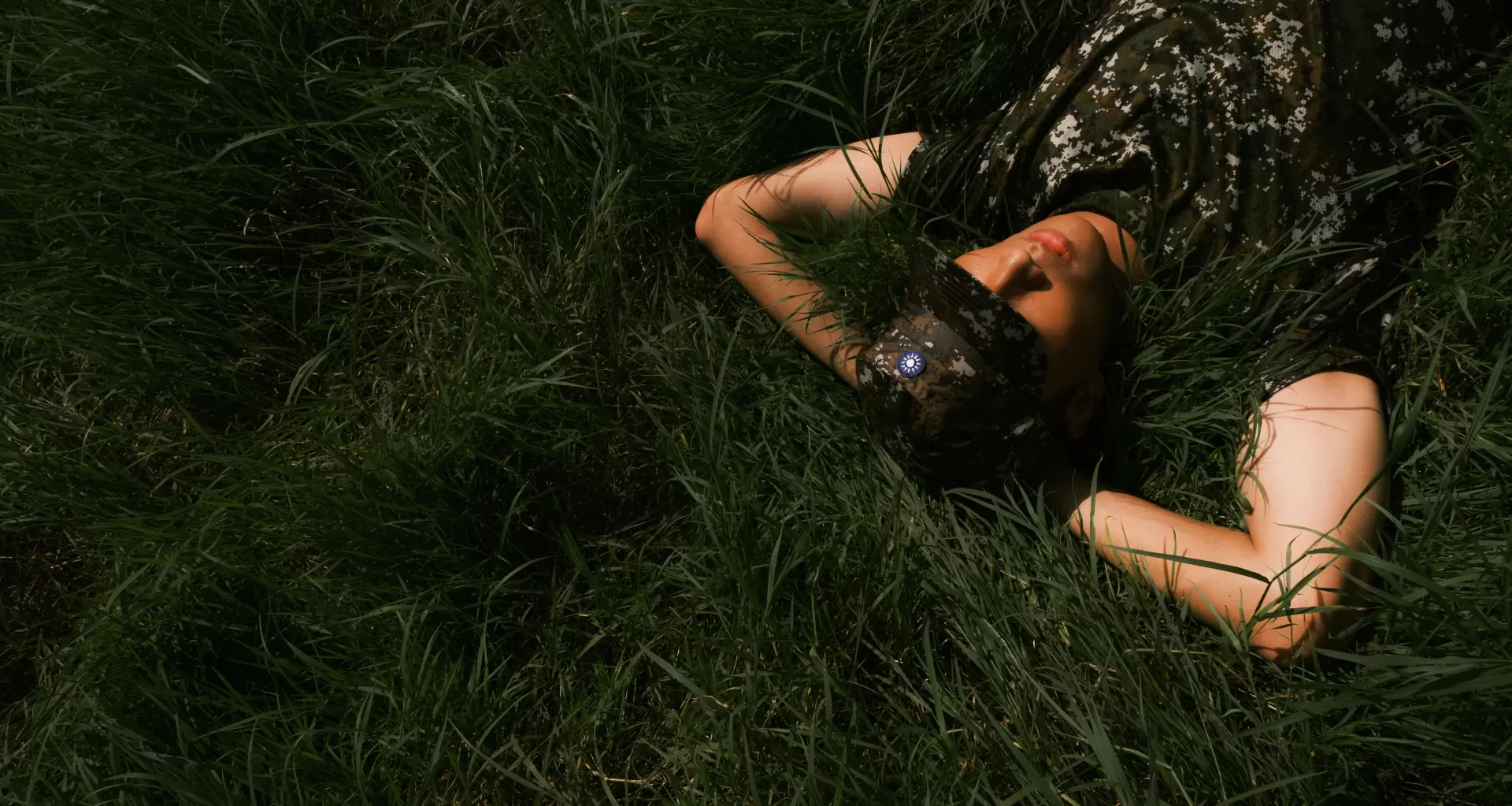 這不是我的牛-圖片